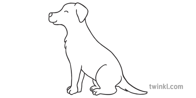 Featured image of post Dog Sitting Side View Drawing Use them in commercial designs under lifetime perpetual worldwide rights
