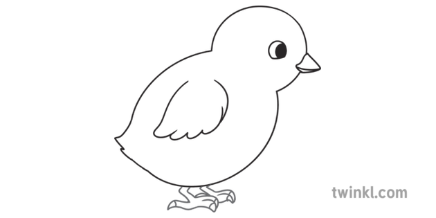 Step 6 How To Draw A Chick Drawing Activity Ks1 Black And White Rgb