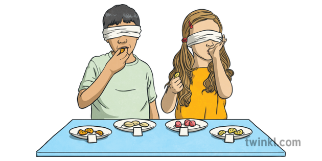 Taste Test Healthy Eating Week Food Boy And Girl Blindfold Ks Illustration