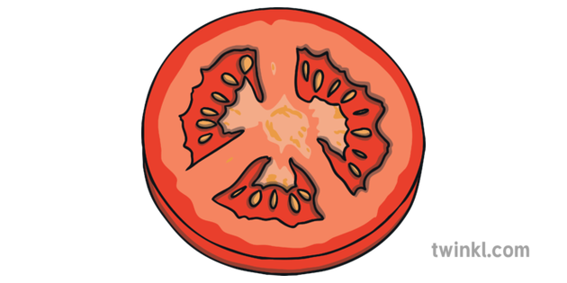 tomato slice illustration twinkl tomato slice illustration twinkl