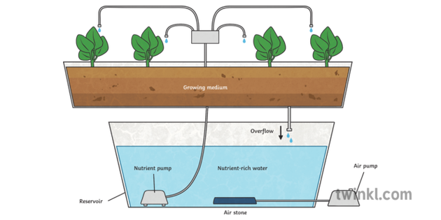 Topics Recovery Drip Hydroponic System Ks2 Illustration Twinkl