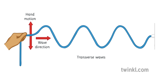 Transverse Wave Drawing