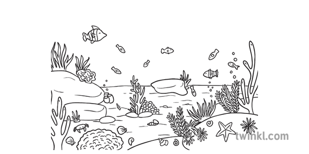 Under The Sea Background Coral Fish Shells Coloured Lines Eyfs Ks1 Black And