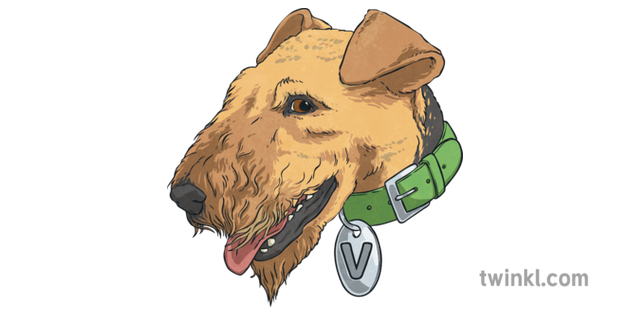 詞彙勝利者頭狗airedale梗犬英語星期六生存ks2 Illustration