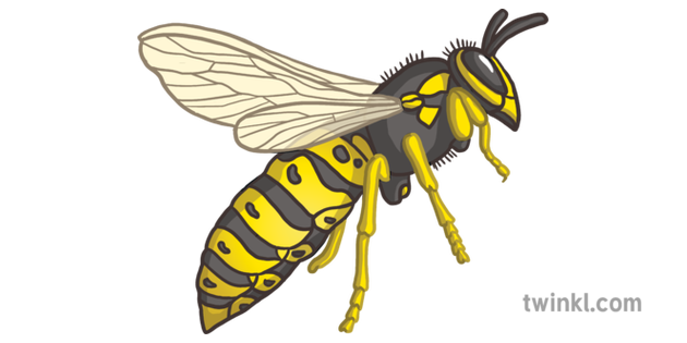 Wasp Emoji Insect Animal Nature Twinkl Newsroom KS2 1 Illustration - Twinkl