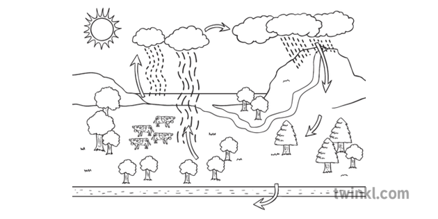 Water Cycle Diagram Geography KS3 Black and White Illustration - Twinkl