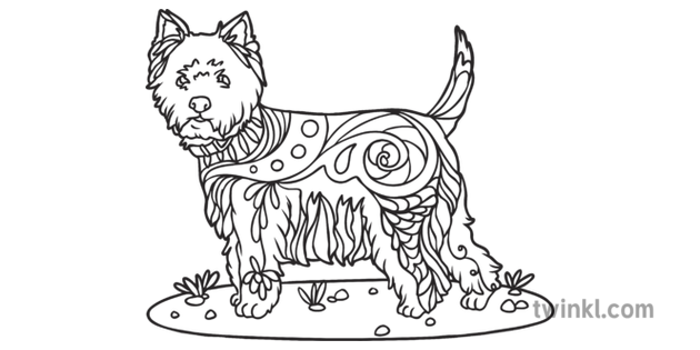 West Highland Terrier Mindfulness Colouring Animal Dog Pet Westie Mammal