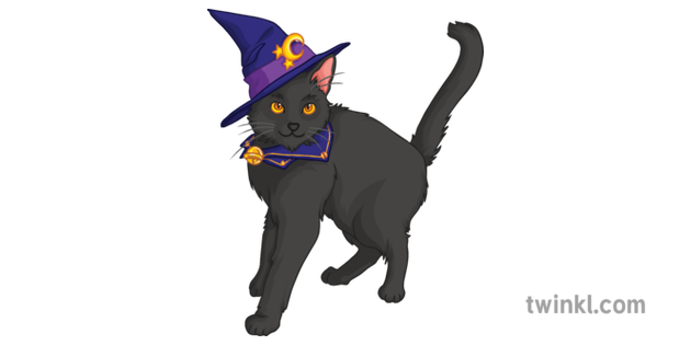 Sorciere Chat Noir Halloween Fantasmagorique Fantaisie Magie Animal