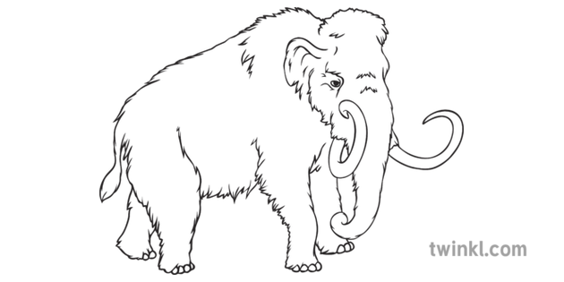 Woolly Mammoth Geography History Extinct Animals Secondary Black and White