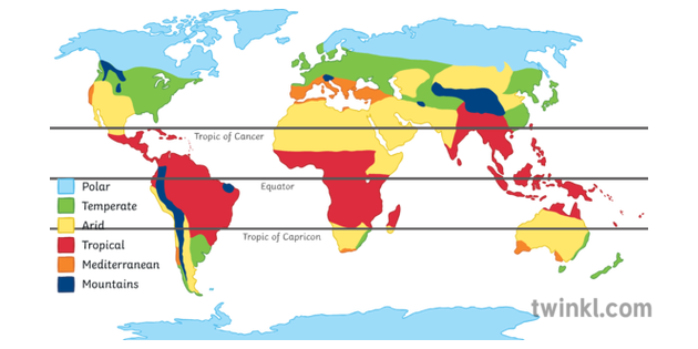 World Climate Zones Colour Map   Geography KS3 KS4 Illustration