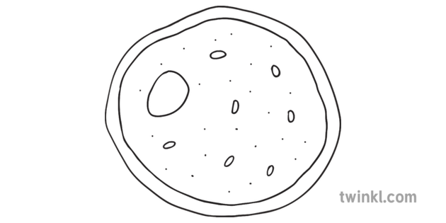 Yeast Drawing : Yeasts, such as candida species and cryptococcus