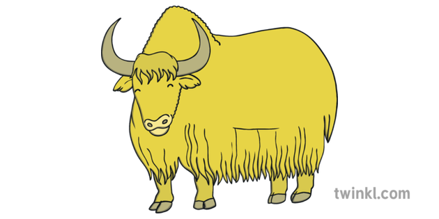 yellow yak illustration twinkl yellow yak illustration twinkl