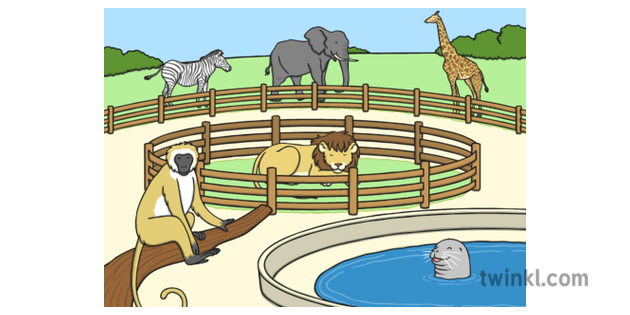 What is a Zoo? - Answered - Twinkl Teaching Wiki - Twinkl