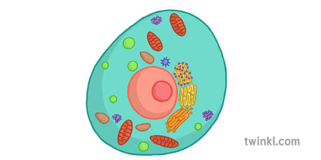 35 Animal Cell To Label Label Design Ideas 2020