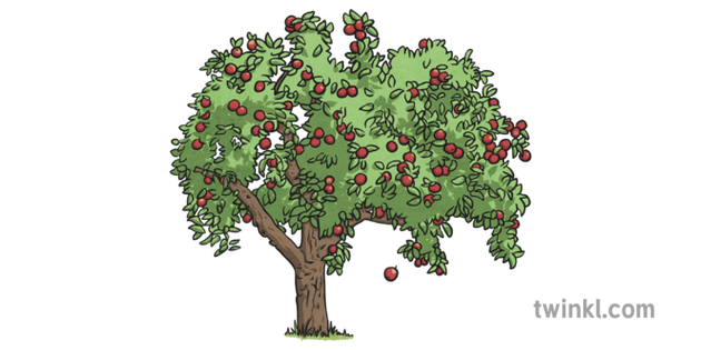 蘋果樹重力illustration Twinkl