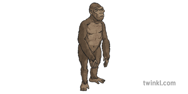 Australopithecus Images Animation Desenho De Australopithecus Afarensis Imagem Dos Desenhos Animados De
