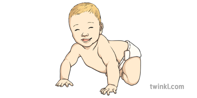 Baby Illustration Illustration Twinkl