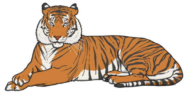 Tiger Stripe, Camouflage Wiki