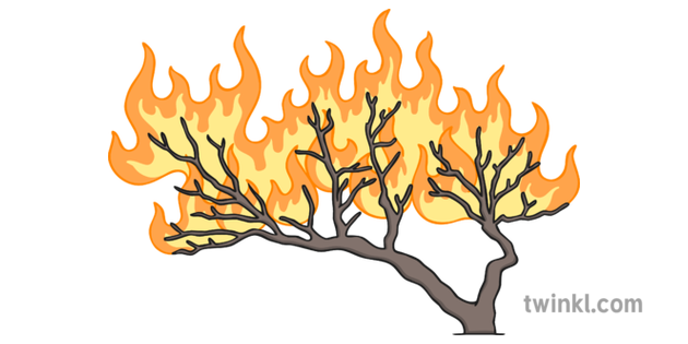 Burning Bush Illustration - Twinkl
