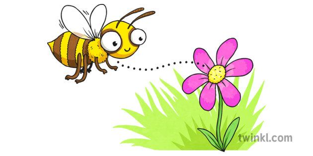 Cartoon Bee And Flower Illustration Twinkl Cartoon Bee And Flower