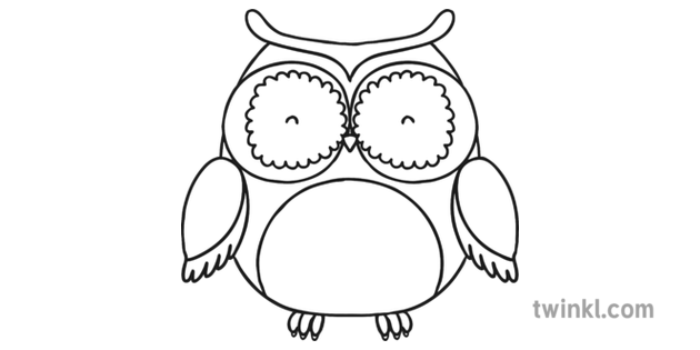 Cute Owl Blue Black And White Illustration Twinkl