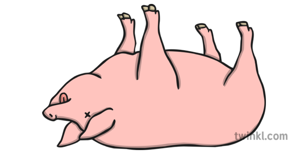 dead-pig.png