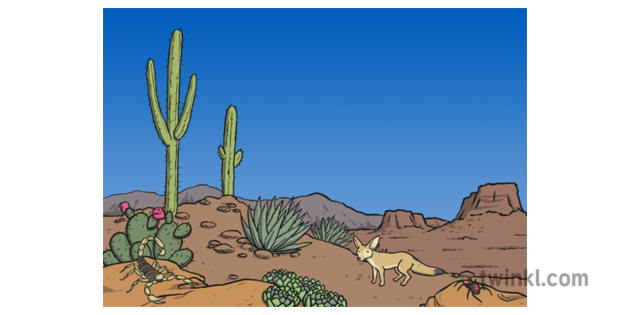 Desert Habitat Illustration Twinkl