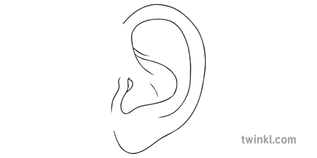 Ear Listening Black And White Illustration Twinkl