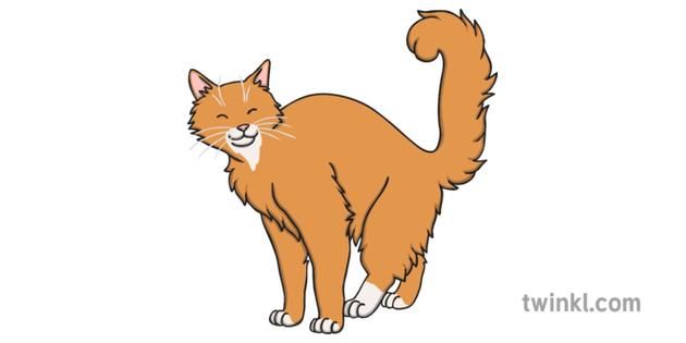 meeting clip art cat