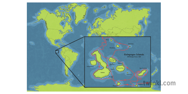 Galapagos Islands On World Map Illustration Twinkl