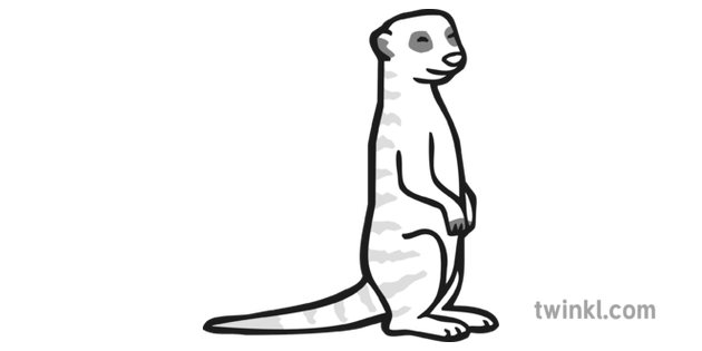 Meerkat Icon Black And White Illustration Twinkl