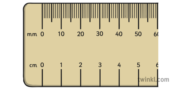 millimetre-ruler-illustration-twinkl