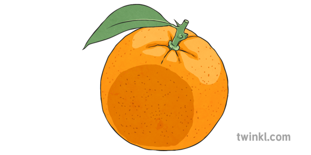 Orange 2 Illustration Twinkl