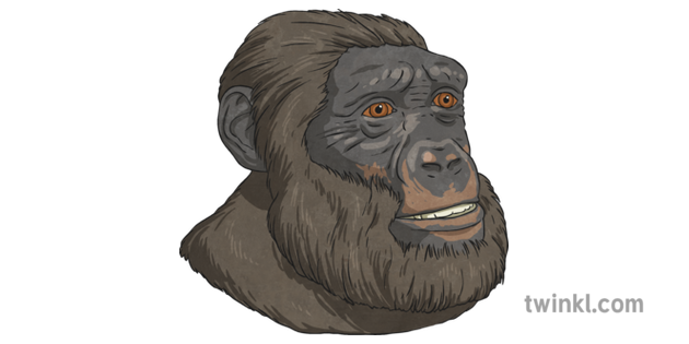 Sahelanthropus