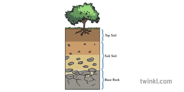 Soil Layers Illustration Twinkl