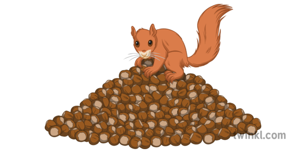 squirrel-with-store-of-nuts.png