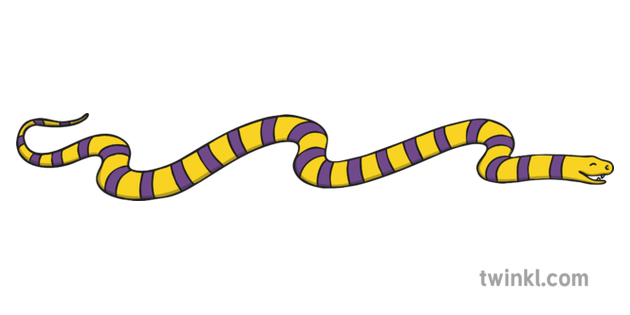 條紋蛇illustration Twinkl