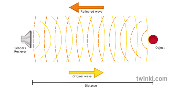 Ultrasound Wave Illustration - Twinkl