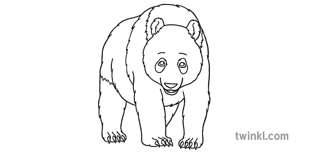 大人 パンダ 黒と白 クマ 哺乳類 中国 開いた目