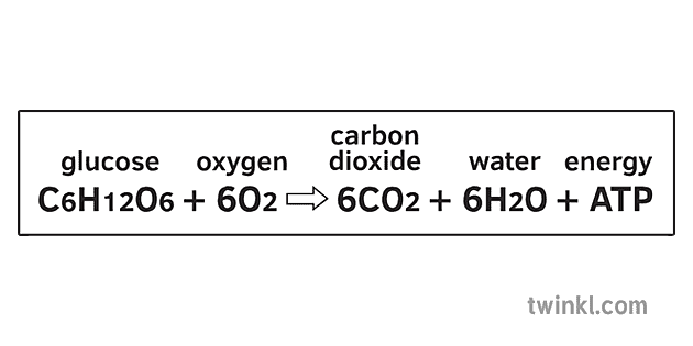 oxygen o2 ymbol