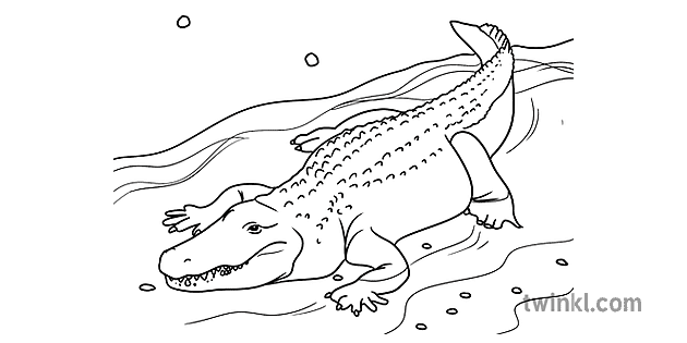 Buaya Reptilia Mewarnai Halaman Haiwan Aktiviti Eyfs Ks1 Illustration