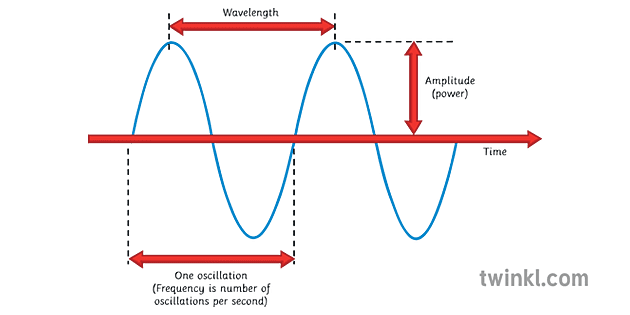 amplitud-oscilaci-n-frecuencia-illustration-twinkl