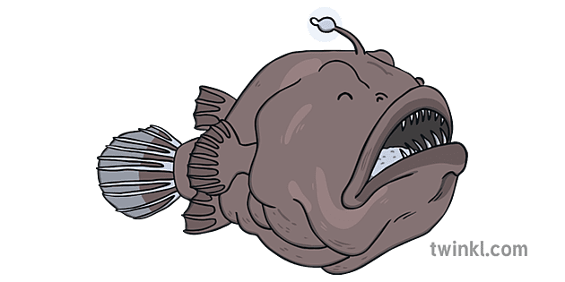 real angler fish size