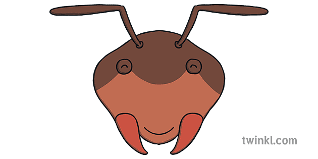 Ant Roleplay Mask Ant and the Cicada Traditional Tale KS1