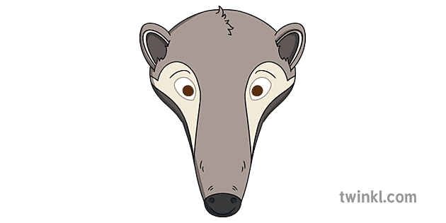 Anteater Mask Illustration - Twinkl