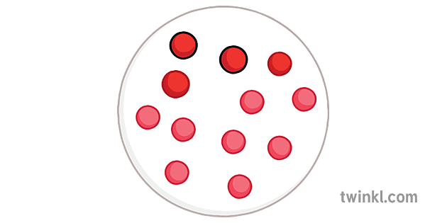 Antibiotic Resistance Stage Two Bacteria Science Secondary Illustration