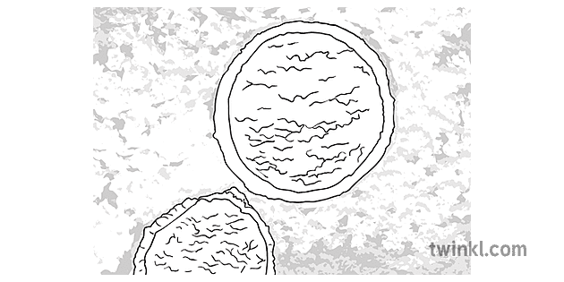 archaea cell science secondary bw rgb Ilustración - Twinkl
