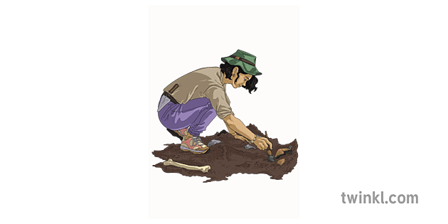 Arqueologo Persona Ciencia Trabajos Ks2 Illustration Twinkl
