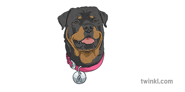 is the rottweiler legal in cayman islands