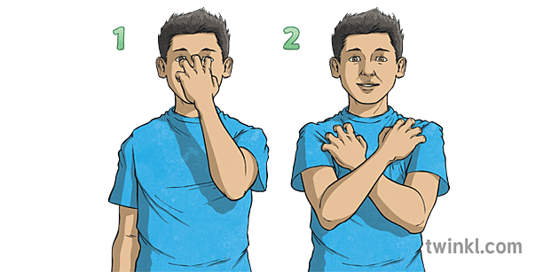 auslan koala bear sign australian sign language ks2 Illustration - Twinkl